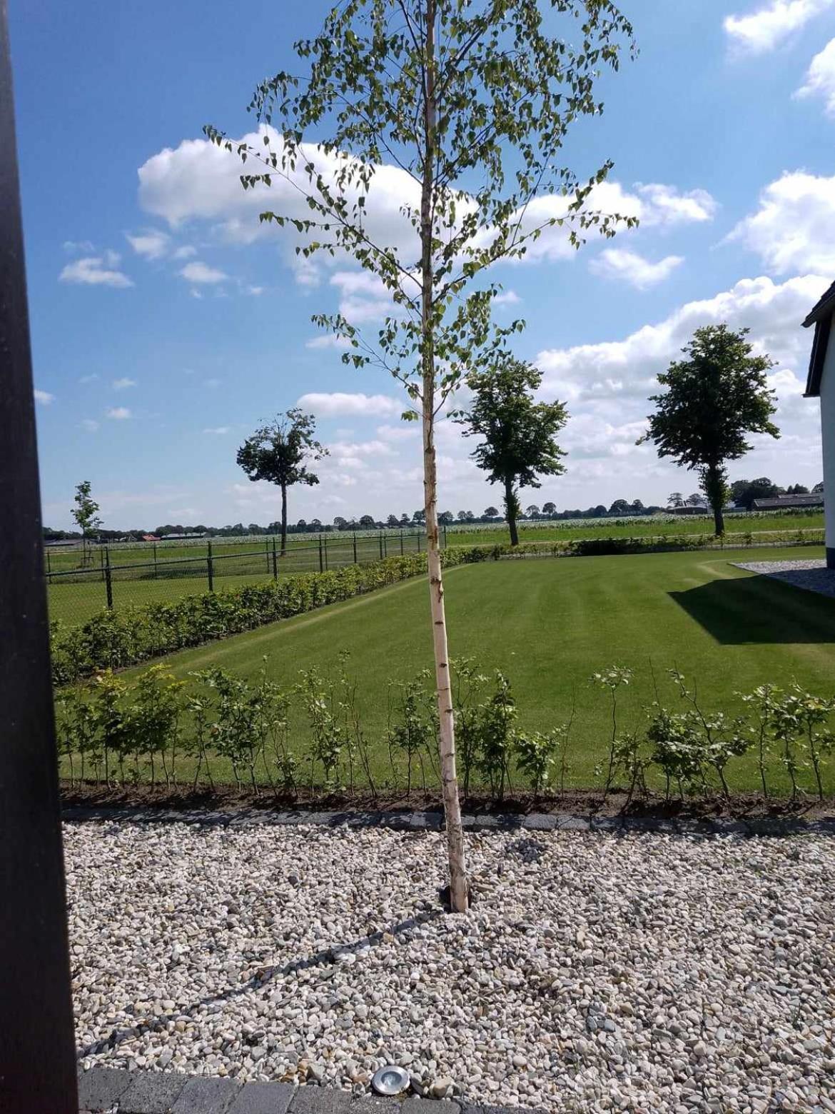 Venhorst Ut Witte Huisje מראה חיצוני תמונה